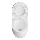 Комплект инсталляции GROHE Rapid SL NW0145/S с унитазом Aquatek СИРИУС AQ1582T-00 и сиденьем с микролифтом (NW0330)