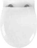 Унитаз Aquatek АЛЬТАИР подвесной с сиденьем с микролифтом, белый AQ1980-00