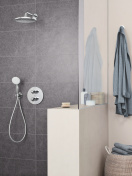 Верхний душ GROHE Tempesta 250, 9,5 л/мин, 1 режим, 380 мм, хром/белый (26668000)
