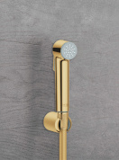 Гигиенический душ GROHE Tempesta-F Trigger Spray 30, 1250 мм, холодный рассвет глянец (27513GL1)