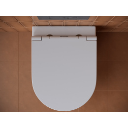 Комплект инсталляции GROHE Rapid SL 3 в 1 с унитазом Форма CN3011 и звукоизоляционным комплектом (NW0820)