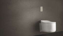 Панель смыва для унитаза GROHE Arena Cosmopolitan S, хром (37624000)