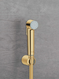 Гигиенический душ GROHE Tempesta-F Trigger Spray 30, 1250 мм, холодный рассвет глянец (27513GL1)