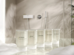 Душевая система GROHE Euphoria Purefoam 310 с термостатом для душа, хром (1058130000)