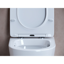 Комплект инсталляции GROHE Rapid SL 3 в 1 с унитазом Балеарика CN6000 и звукоизоляционным комплектом (NW0854)