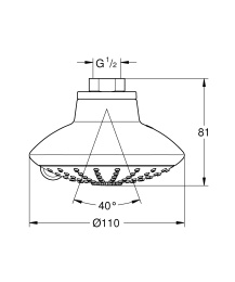 Верхний душ GROHE Euphoria 110 Massage, 8 л/мин, 3 режима, хром (27247001)