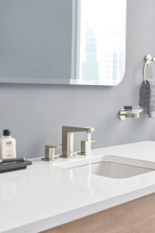 Мыльница GROHE Essentials с держателем, никель матовый (40444EN1)