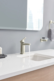 Мыльница GROHE Essentials с держателем, никель матовый (40444EN1)