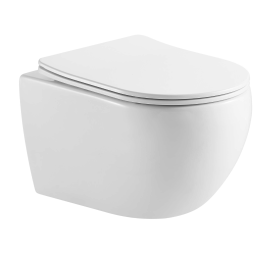 Унитаз Aquatek ЕВРОПА подвесной с сиденьем с микролифтом, белый AQ1190T-00