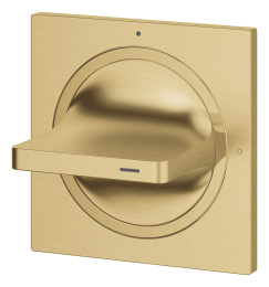 Внешняя часть вентиля GROHE Allure, холодный рассвет матовый (19334GN1)