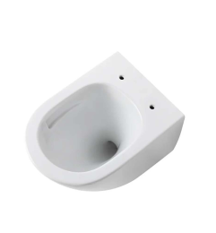 Унитаз Aquatek ЛИБЕРТИ подвесной с сиденьем с микролифтом, белый AQ1999T-00