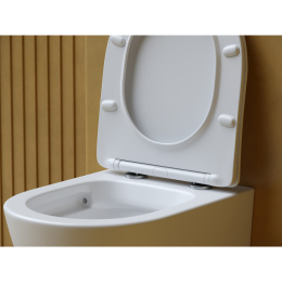 Комплект инсталляции GROHE Rapid SL 3 в 1 с унитазом Балеарика CN6000MW и звукоизоляционным комплектом (NW0850)