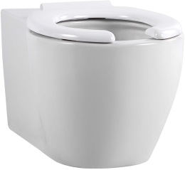 Унитаз AQUATEK подвесной, для людей с ограниченными возможностями (AQ2212-00)