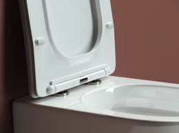 Подвесной унитаз Ceramicanova Форма безободковый, белый (CN3009)