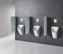 Писсуар GROHE Bau Ceramic, скрытый монтаж, альпин-белый (39438000)