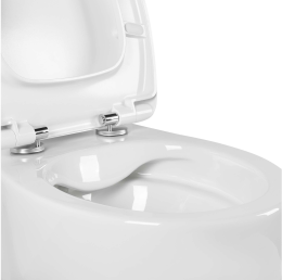 Унитаз Aquatek АЛЬТАИР подвесной с сиденьем с микролифтом, белый AQ1980-00