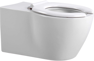 Унитаз AQUATEK подвесной, для людей с ограниченными возможностями (AQ2212-00)