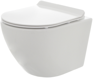 Унитаз AQUAme подвесной с сиденьем с микролифтом, белый AQM2002