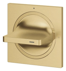 Внешняя часть вентиля GROHE Allure, холодный рассвет матовый (19334GN1)