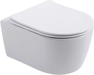 Унитаз Aquatek ЕВРОПА подвесной с сиденьем с микролифтом, белый AQ1106-00