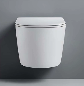 Унитаз Aquatek ЛИБЕРТИ подвесной с сиденьем с микролифтом, белый AQ1999T-00