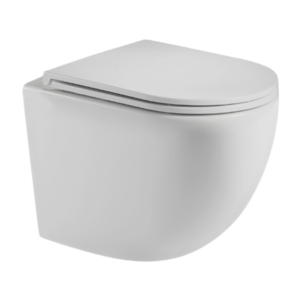 Унитаз AQUAme подвесной с сиденьем с микролифтом, белый матовый (AQM2002MW)