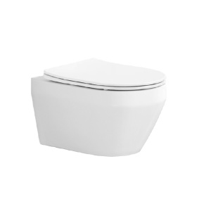 Унитаз Aquatek ЛЕЯ подвесной с сиденьем с микролифтом, белый (AQ1199T-00)