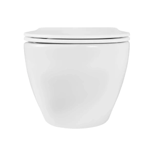 Унитаз Aquatek ЕВРОПА подвесной с сиденьем с микролифтом, белый матовый (AQ1901-MW)