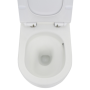 Комплект инсталляции GROHE Rapid SL 38775001 с унитазом AQUAme AQM2010 и сиденьем с микролифтом, смыв Quiet (NW0313)