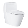 Унитаз напольный безободковый GROHE Projectline с бачком и сиденьем c микролифтом, альпин-белый (39316000)