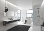 Душевая система GROHE Euphoria SmartControl System 310 Duo с термостатом для душа, темный графит матовый (26507AL0)
