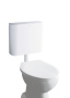 Унитаз напольный безободковый GROHE Bau Ceramic с бачком и сиденьем с микролифтом, альпин-белый (NW0051)