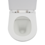 Комплект инсталляции GROHE Rapid SL 38775001 с унитазом AQUAme AQM2005 и сиденьем с микролифтом (NW0312)