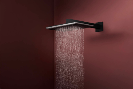 Верхний душ hansgrohe Raindance Alive Q 2jet с душевым кронштейном, 24550670, матовый черный