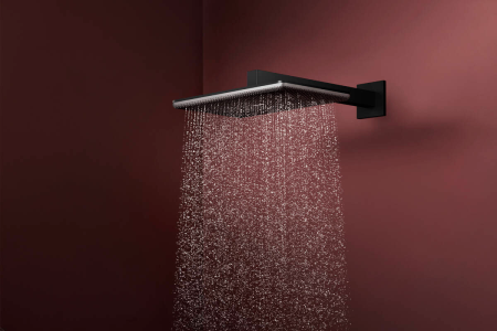 Верхний душ hansgrohe Raindance Alive Q 2jet с душевым кронштейном, 24550670, матовый черный