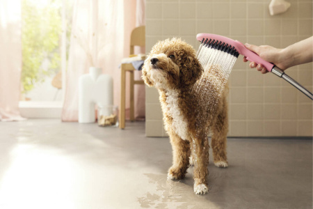 Душ для собак hansgrohe DogShower 150 3jet с массажной струей 26640560, розовый