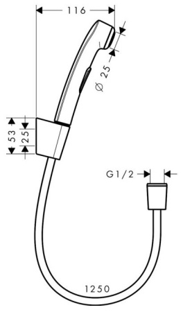 Гигиенический душ hansgrohe 1jet с держателем и шлангом 125 см 32129340, шлифованный черный хром