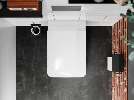 Туалетный ершик hansgrohe AddStoris с настенным держателем 41752670, матовый черный