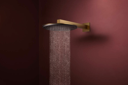 Верхний душ hansgrohe Raindance Alive S 300 2jet с кронштейном, 24540140, шлифованная бронза