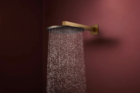 Верхний душ hansgrohe Raindance Alive S 300 2jet с кронштейном, 24540140, шлифованная бронза
