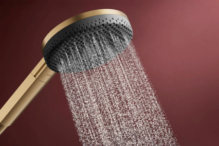 Ручной душ hansgrohe Raindance Alive Select S, 24500140, шлифованная бронза