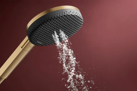 Ручной душ hansgrohe Raindance Alive Select S, 24500140, шлифованная бронза