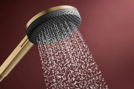 Ручной душ hansgrohe Raindance Alive Select S, 24500140, шлифованная бронза