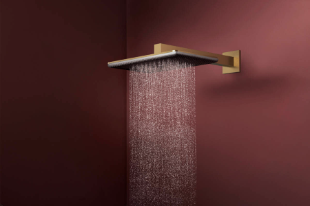 Верхний душ hansgrohe Raindance Alive Q 2jet с душевым кронштейном, 24550140, шлифованная бронза