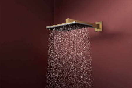 Верхний душ hansgrohe Raindance Alive Q 2jet с душевым кронштейном, 24550140, шлифованная бронза