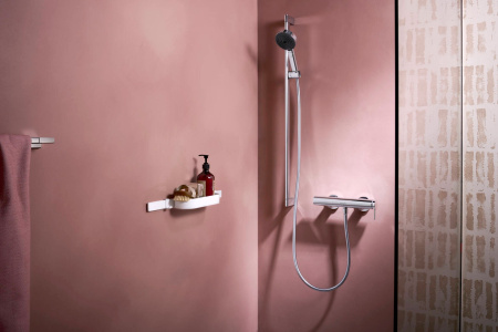 Штанга hansgrohe WallStoris 50 см 27902700, матовый белый