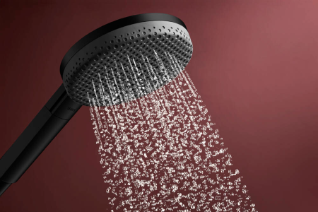 Ручной душ hansgrohe Raindance Alive Select S, 24500340, шлифованный черный хром