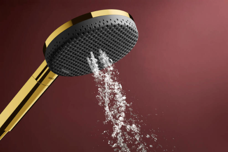 Ручной душ hansgrohe Raindance Alive Select S, 24500990, шлифованное золото