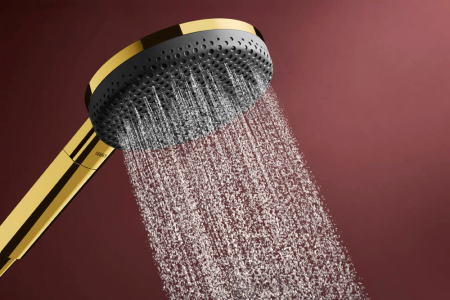 Ручной душ hansgrohe Raindance Alive Select S, 24500990, шлифованное золото