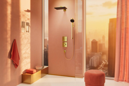 Ручной душ hansgrohe Raindance Alive Select S, 24500990, шлифованное золото